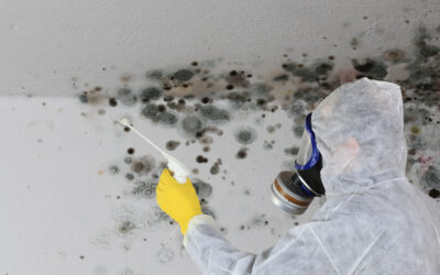 Top Indications Your Home’s Plumbing System Requires Replacement