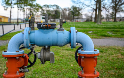 The Importance of Backflow Prevention for Los Angeles Homeowners