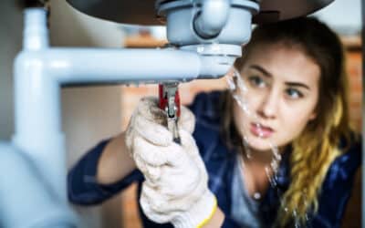 The Ultimate Guide to Water Leak Detection in Your Los Angeles Home