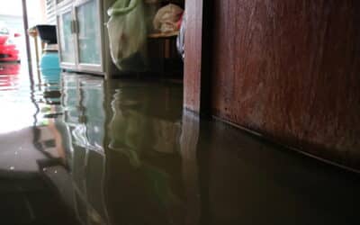 Prevent Costly Water Damage in Your Los Angeles Home with Expert Leak Detection and Repair Services