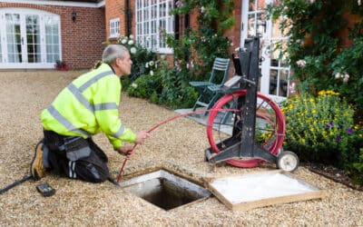 Sewer Line Warning Signs Los Angeles Homeowners Should Not Ignore