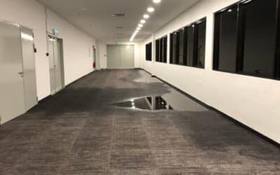 The Importance of Water Leak Detection for Los Angeles Homeowners