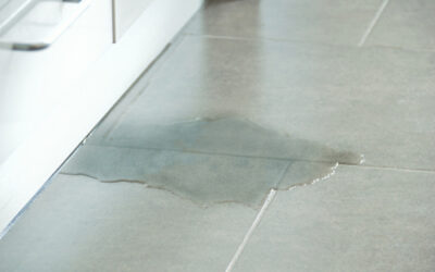 Detecting and Addressing Hidden Water Leaks in Your Home