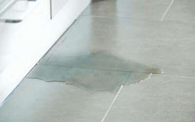Master Water Leak Detection Techniques with Expert Tips from Seasoned Plumbers