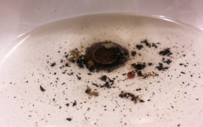 Quick Fixes for Common Clogged Drains