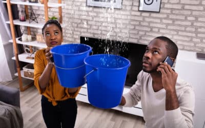 Sprinkler System Leaks: Identifying the Source