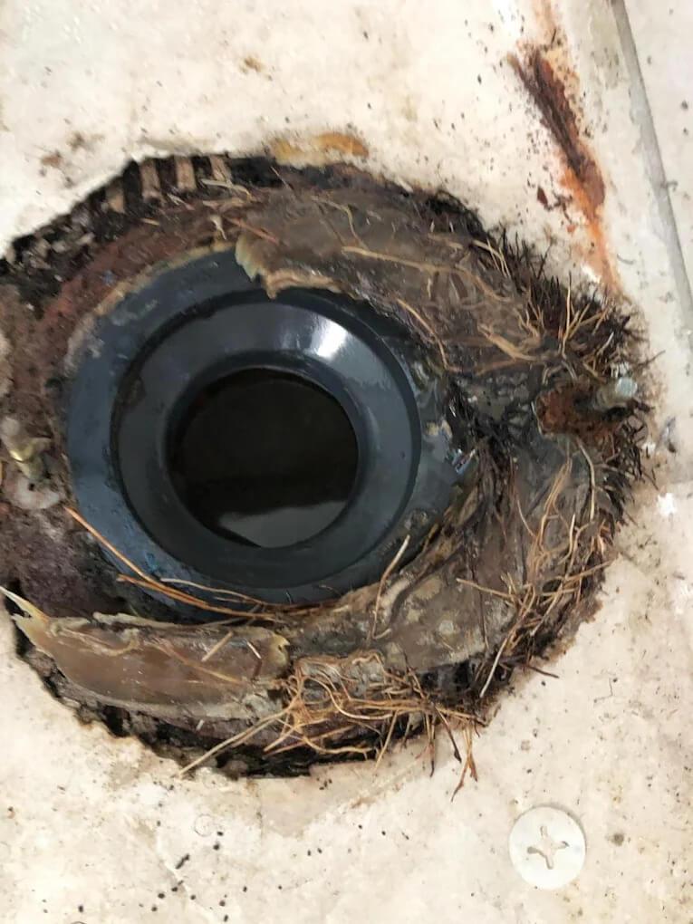Drain Cleaner in Los Angeles - John's Plumbing & Drain Services Drain Cleaner in Los Angeles John's Plumbing & Drain Services