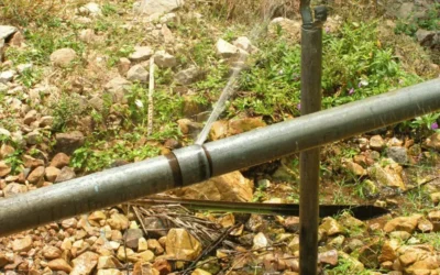 How to Recognize Signs of Burst Pipes in Your Yard