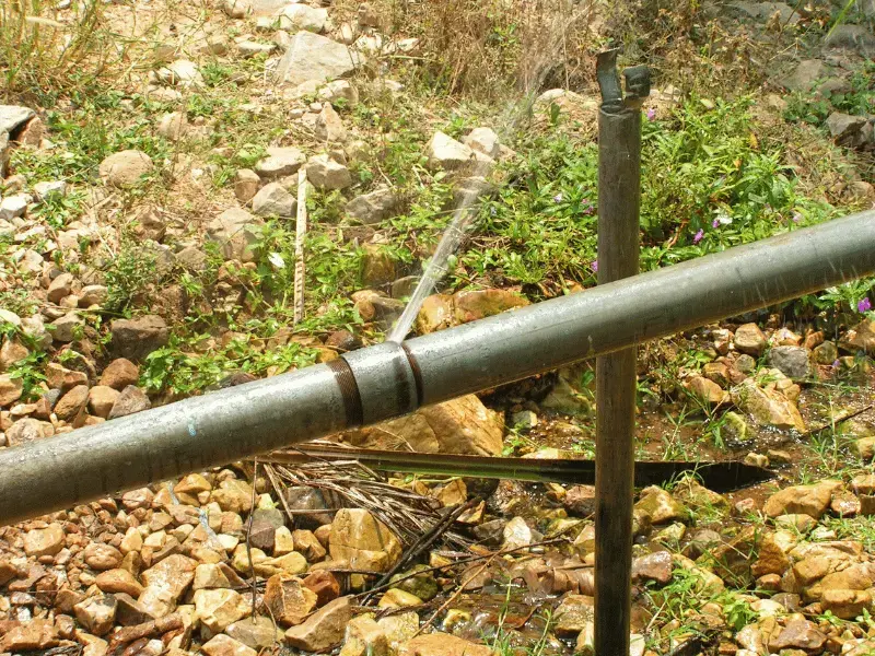 How to Recognize Signs of Burst Pipes in Your Yard
