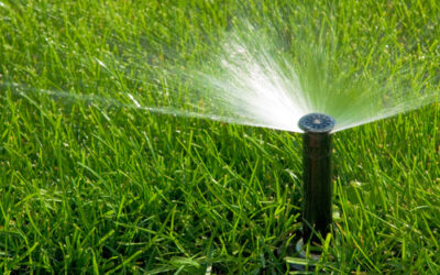 Water Conservation Plumbing Tips for Burbank Residents